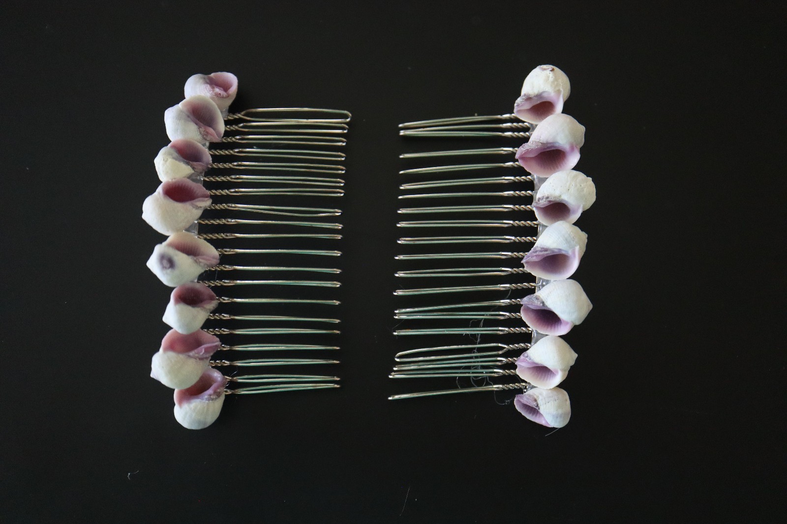 Sea Shell Hair Comb Set of 2 all Natural shells 8 varieties 3″ x 1.5″