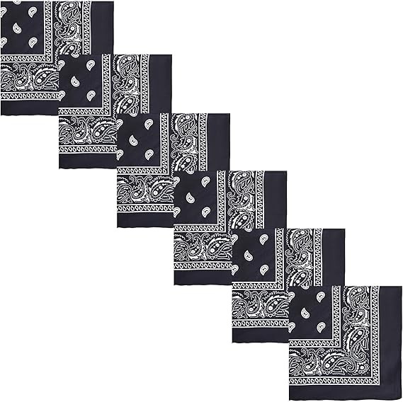 Motique Accessories Polyester Paisley Bandanas, Set of 6