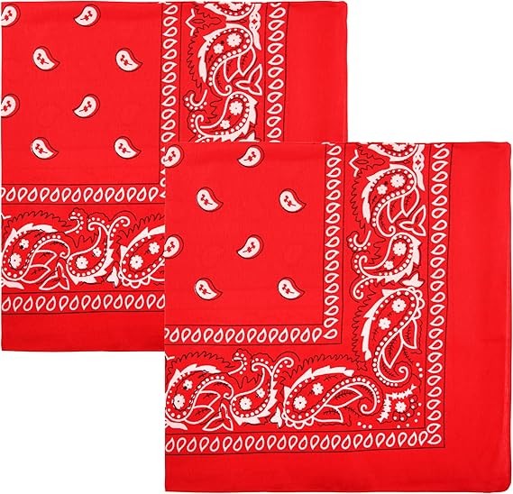 Motique Accessories Polyester Paisley Bandanas, Set of 2