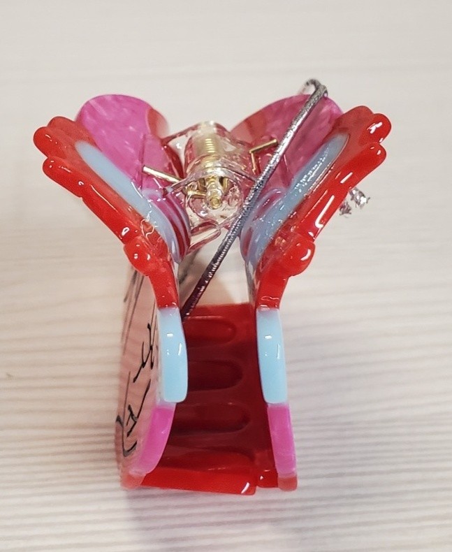 PERSONFUN Anatomical Heart Hair Claw Clip Red Pink Blue 2.75 Inch Novelty