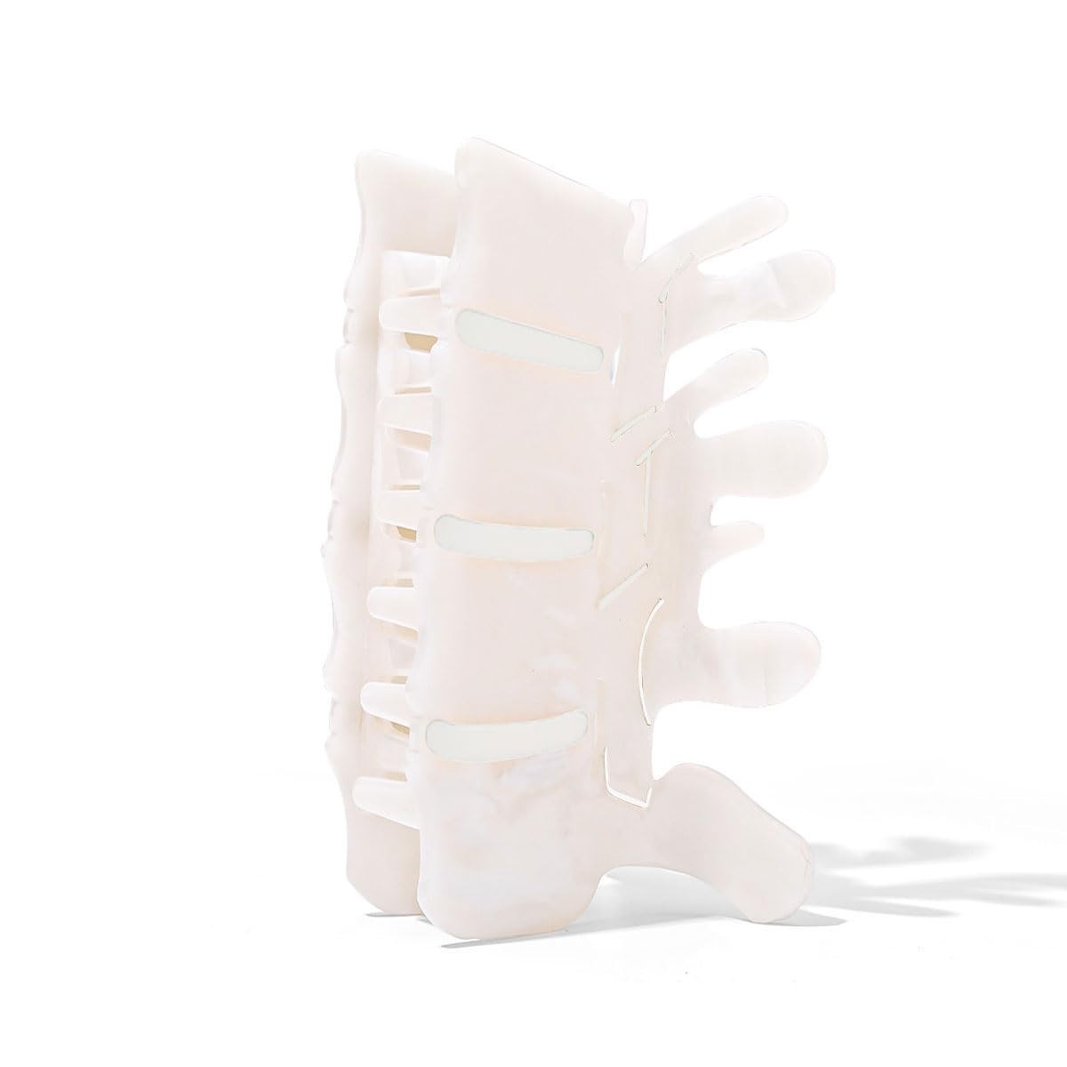 Premium White Acetate Spine Hair Claw Clip | Anatomically Correct Vertebrae D…