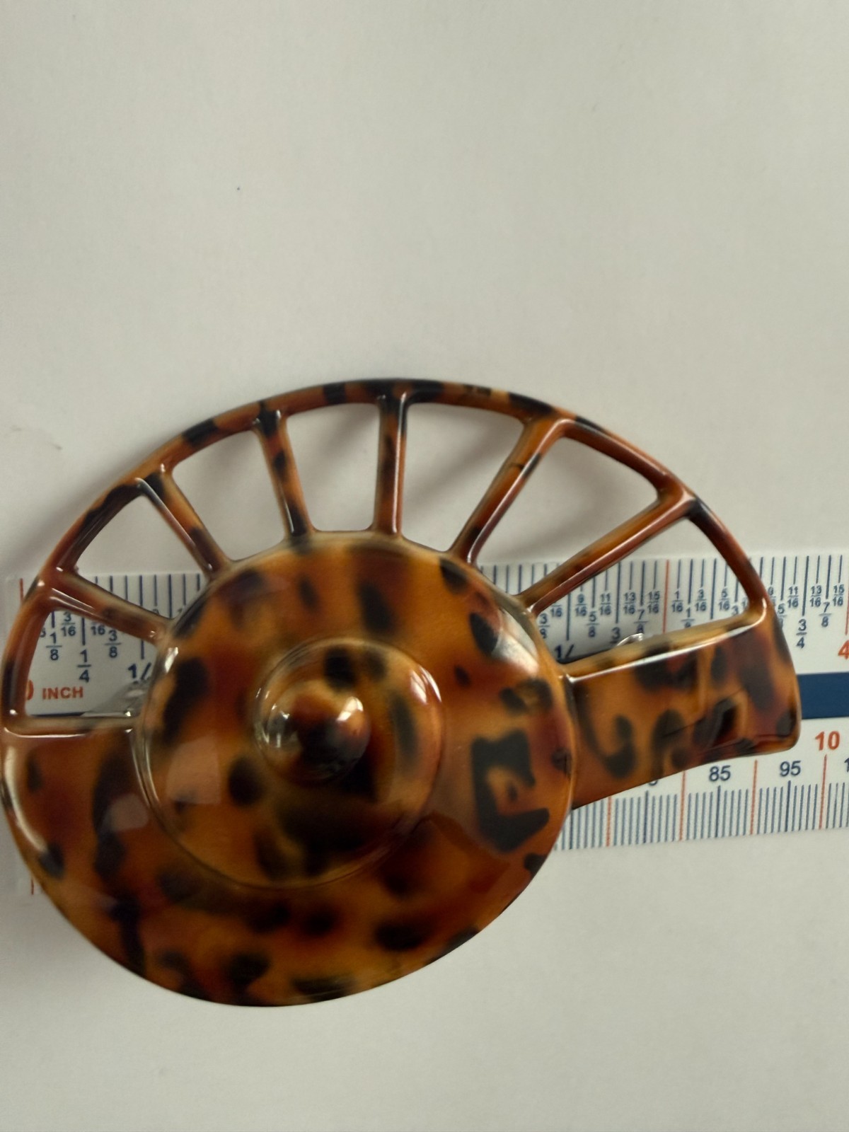 Nautilus Seashell Shell Nautical Hair Clip Barrette Brown Tortoise France 3.5.”