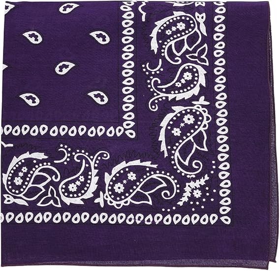 Motique Accessories Extra Large Paisley Bandana 27×27 Inch
