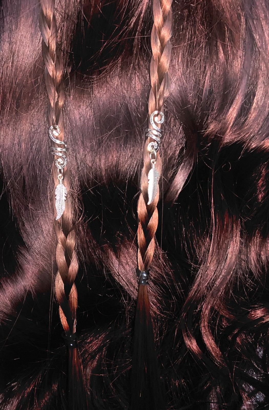 Feather Tribal Hair Spiral Charms Braids Twist Clip Set of 2
