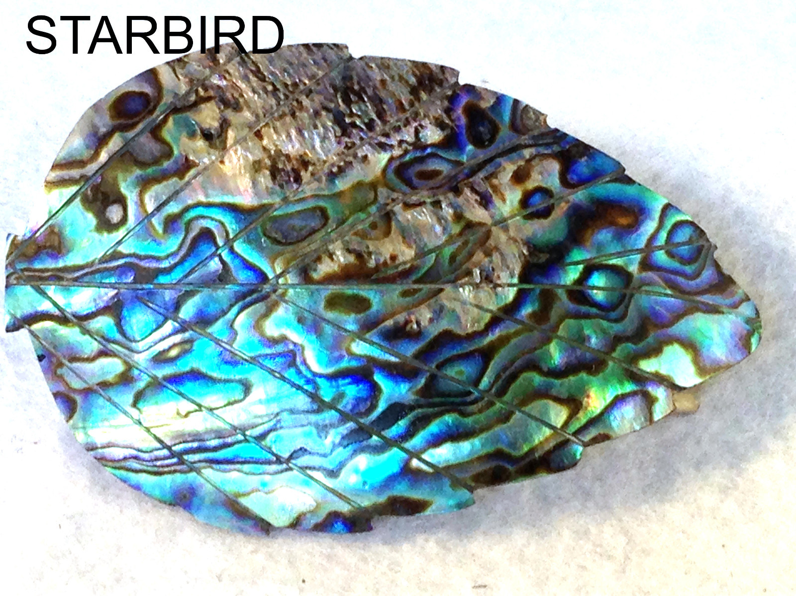 ABALONE BLUE PAUA SEASHELL HAIR BARRETTE 80’s VINTAGE