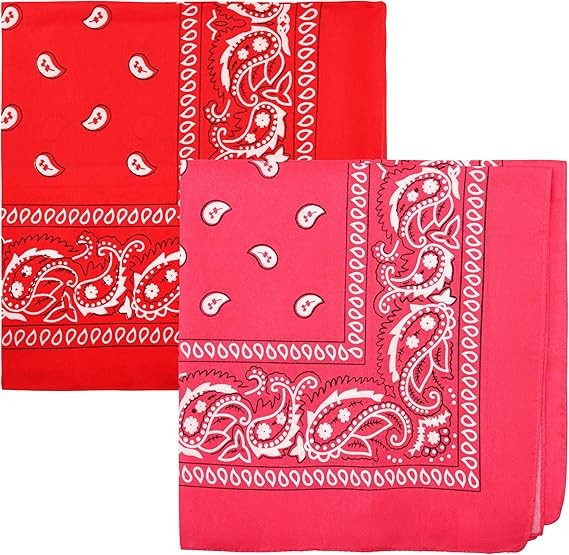 Motique Accessories Polyester Paisley Bandanas, Set of 2