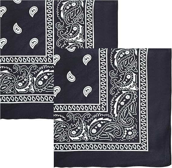 Motique Accessories Polyester Paisley Bandanas, Set of 2