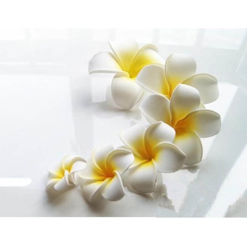10PCS Hawaiian Plumeria Flower Hair Clips Hibiscus Flower Hair Clips Hibiscus US