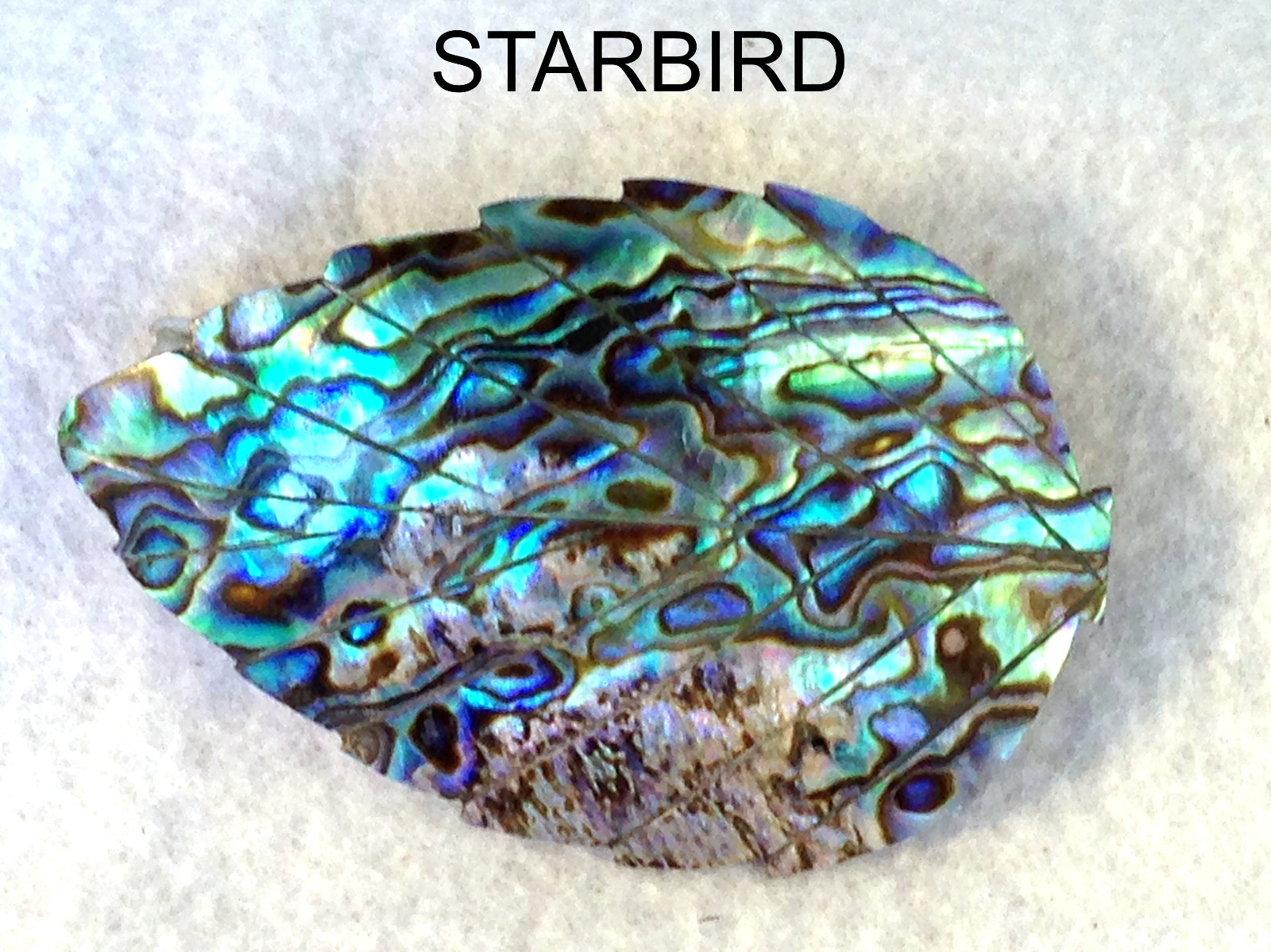 ABALONE BLUE PAUA SEASHELL HAIR BARRETTE 80’s VINTAGE