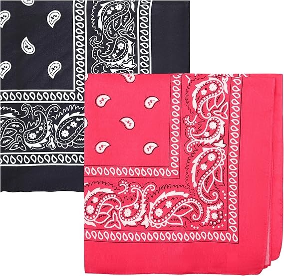 Motique Accessories Polyester Paisley Bandanas, Set of 2