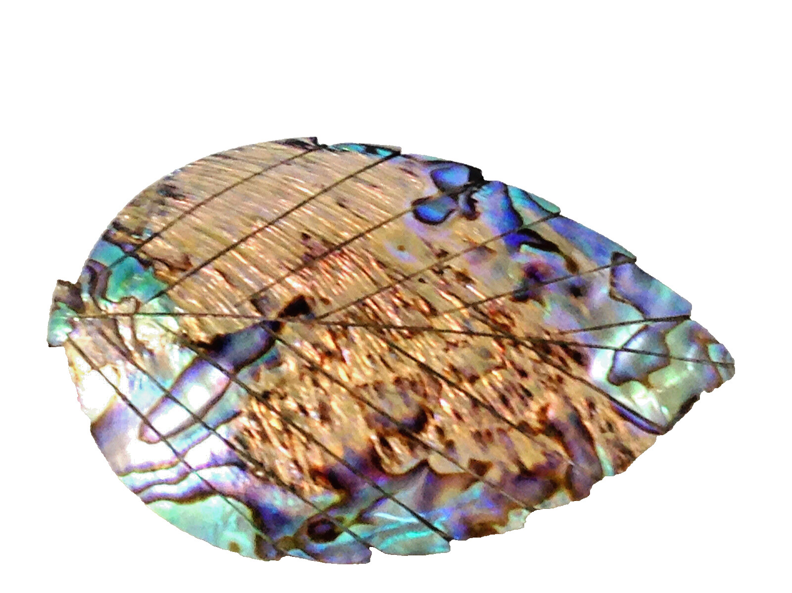 ABALONE BLUE PAUA SEASHELL HAIR BARRETTE 80’s VINTAGE