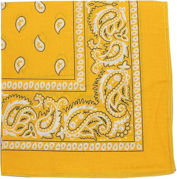 Motique Accessories Extra Large Paisley Bandana 27×27 Inch