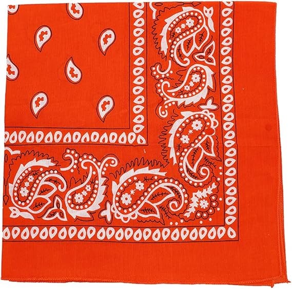 Motique Accessories Extra Large Paisley Bandana 27×27 Inch