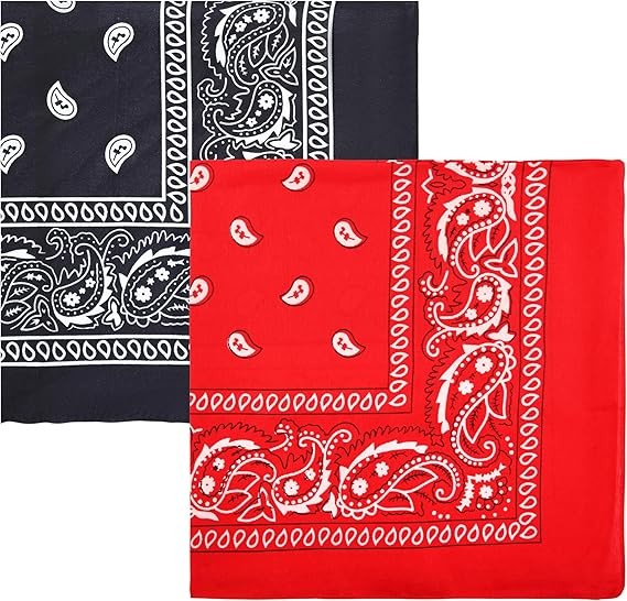 Motique Accessories Polyester Paisley Bandanas, Set of 2