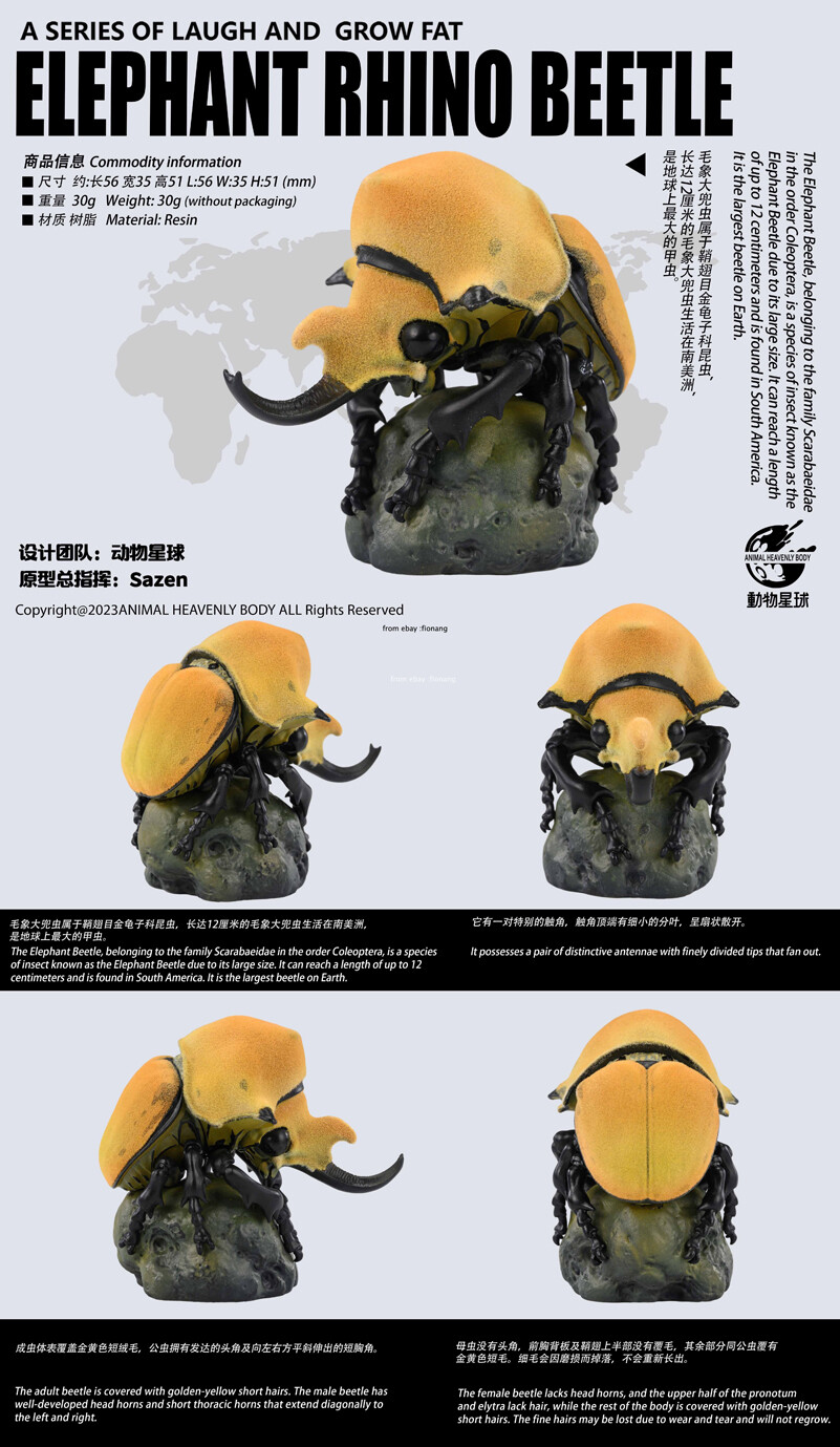 Animal Planet’s Heart Wide And Body Fat Chapter 3 Insect Series
