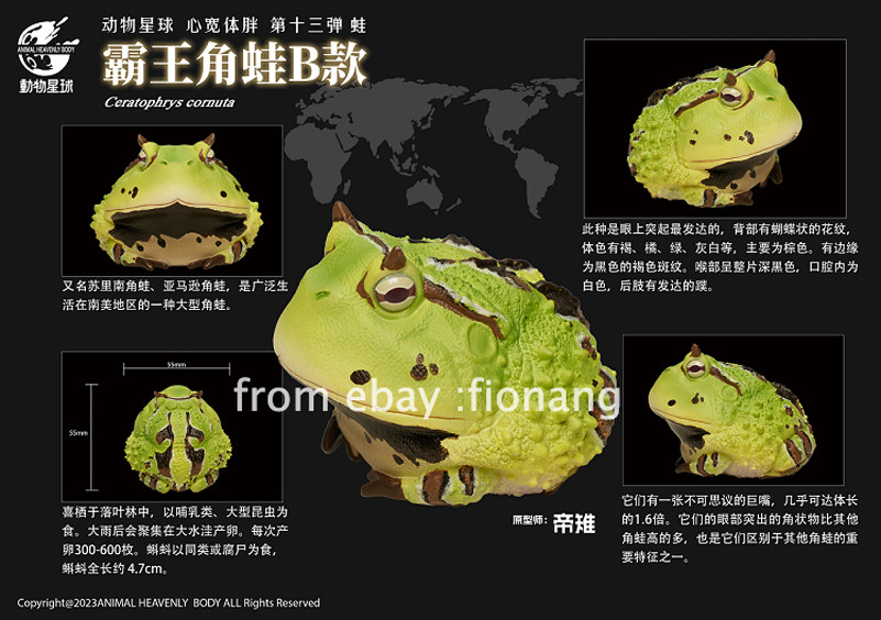 Animal Planet’s Heart Wide And Body Fat Chapter 13 Frog Series