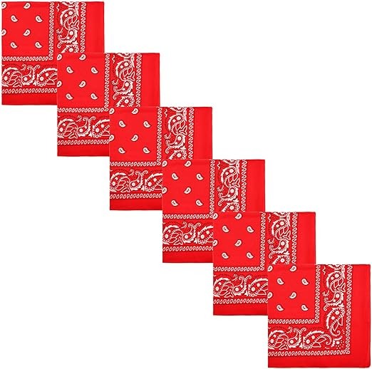 Motique Accessories Polyester Paisley Bandanas, Set of 6
