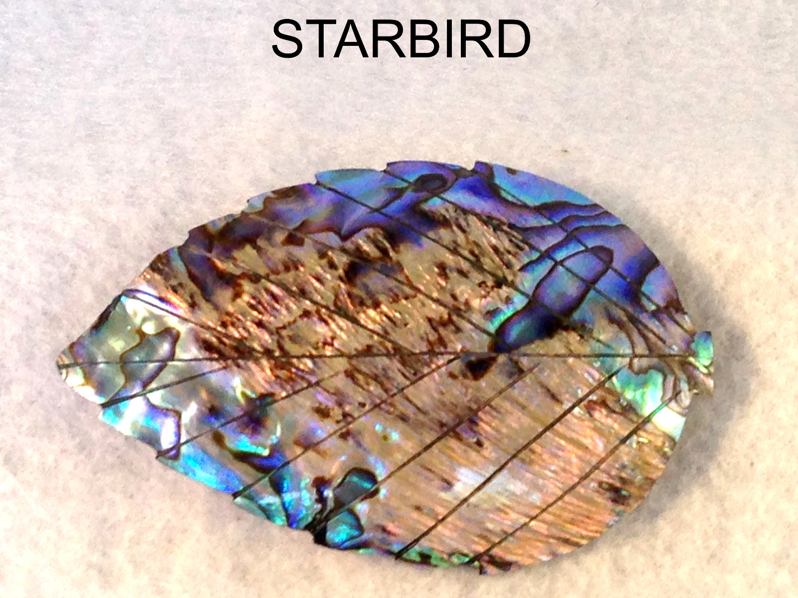 ABALONE BLUE PAUA SEASHELL HAIR BARRETTE 80’s VINTAGE