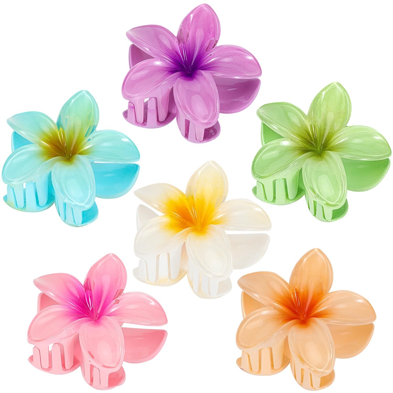 6 Pack Flower Claw Clip for Women