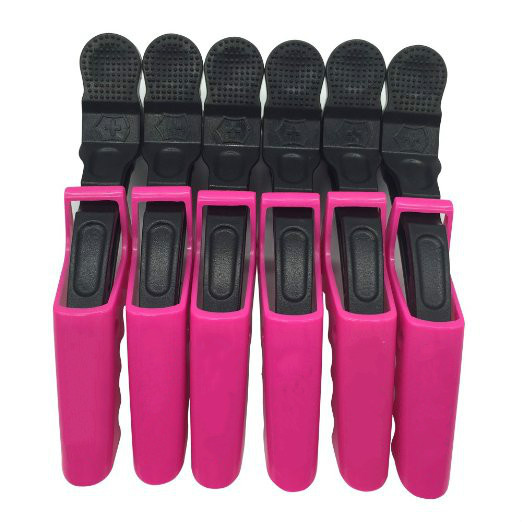 6 Pcs Salon Beak Hair Clips – Crocodile Alligator Clasps, Twisted Claw Hair Clip