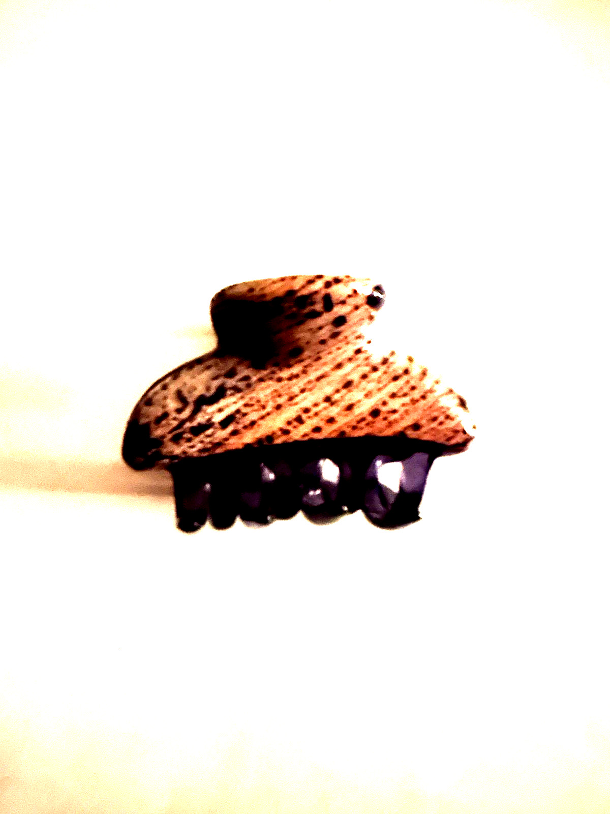 Camila Paris Medium Hair Claw Clip
